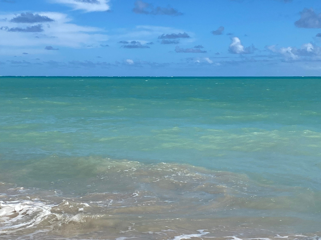 Praia Burgalhau-Maragogi必去景点