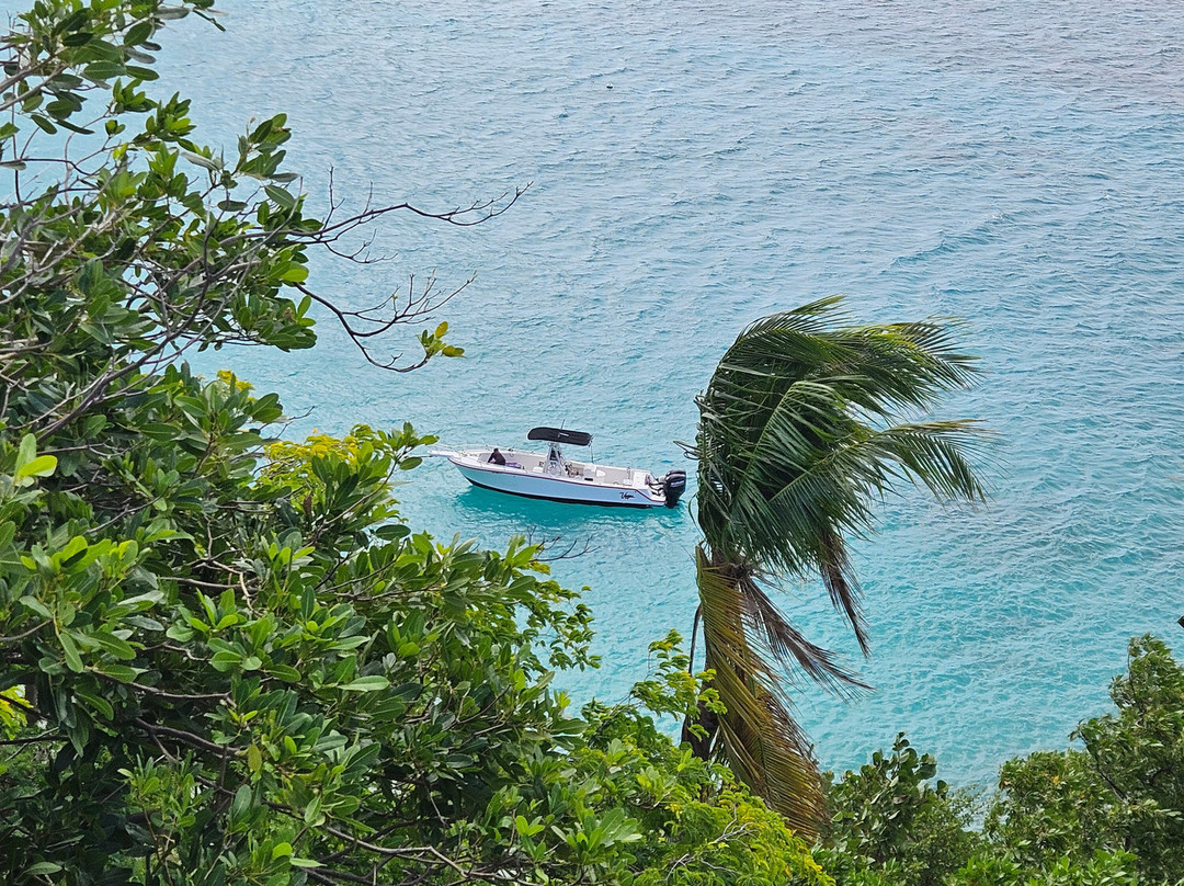 Bvi Snuba-维京果岛必去景点