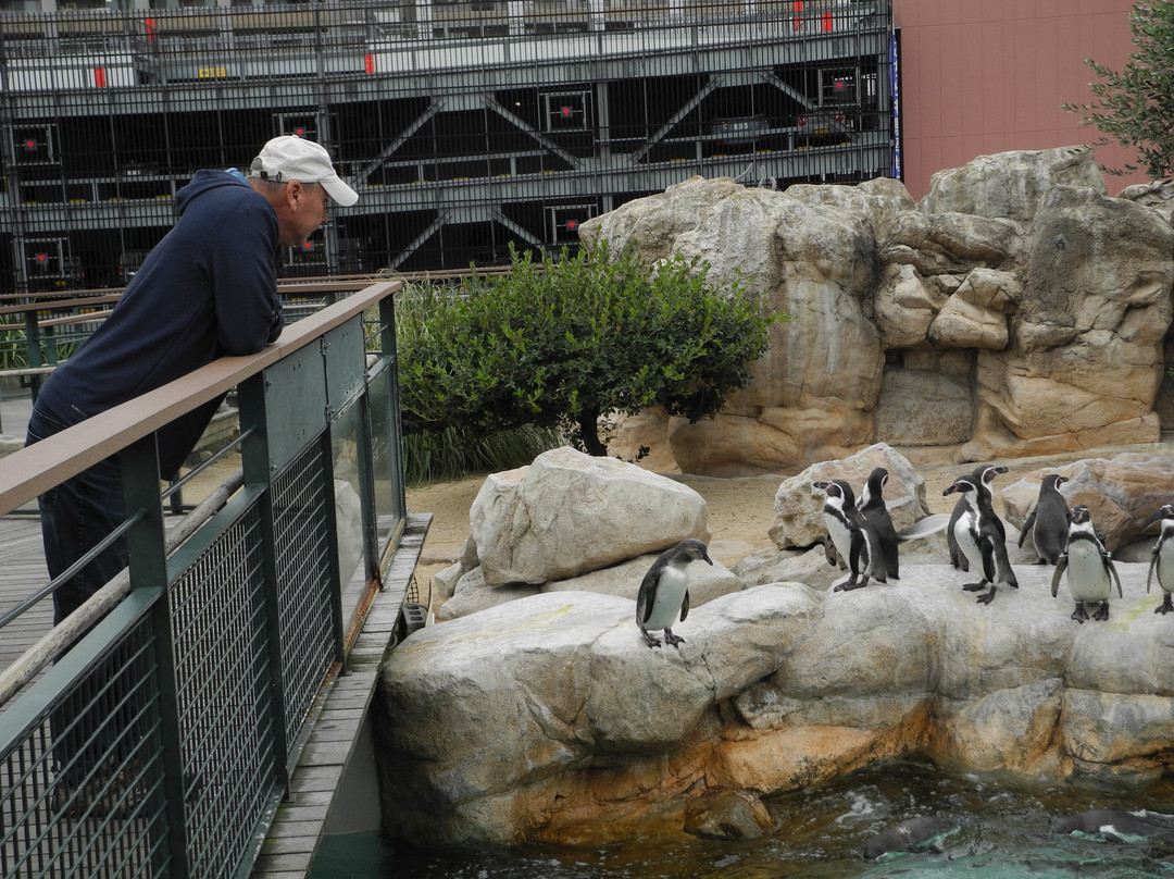 Kaikyokan-下关市必去景点