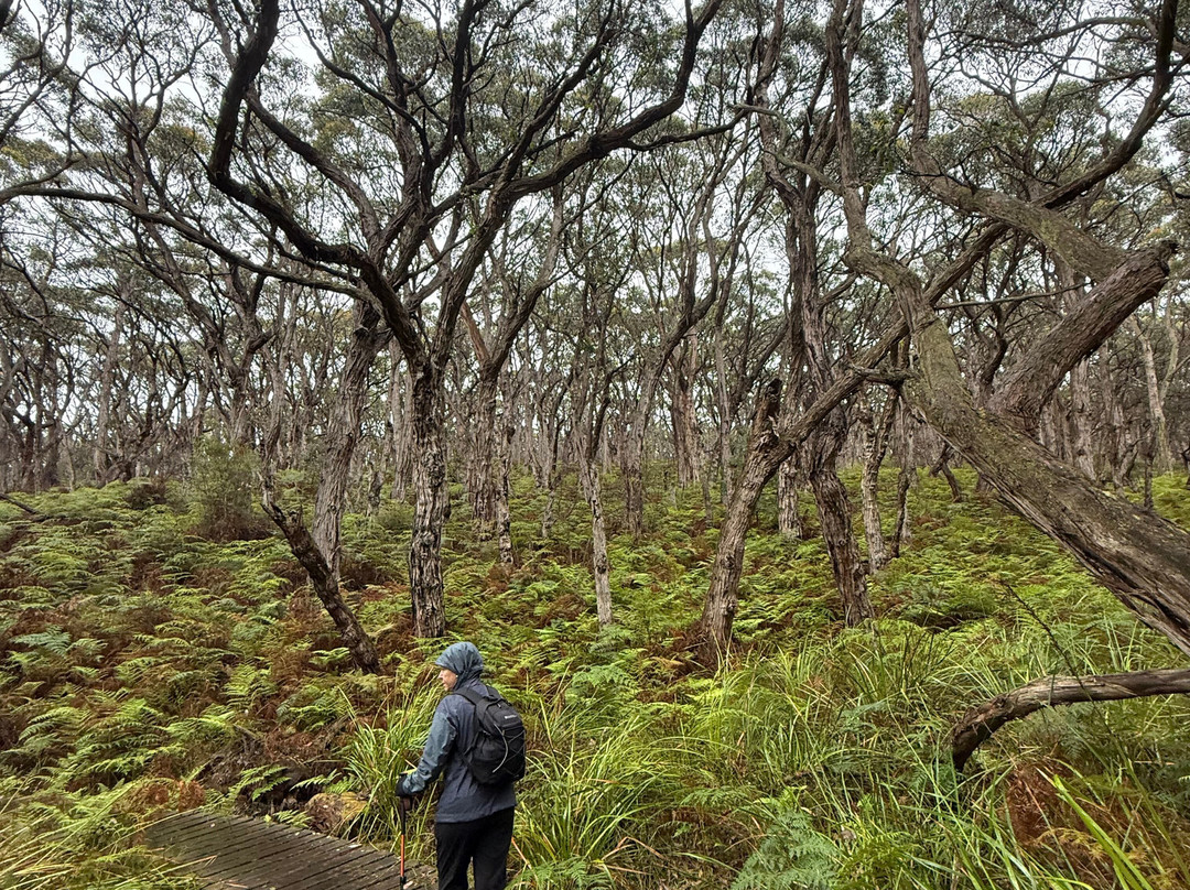 Walk91-阿波罗湾必去景点