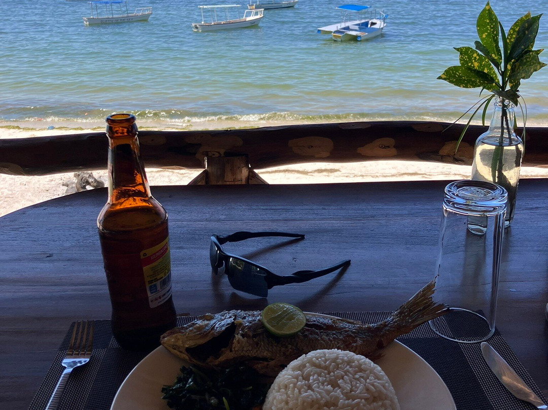 Afro Whale Shark Safari-马菲亚岛必去景点