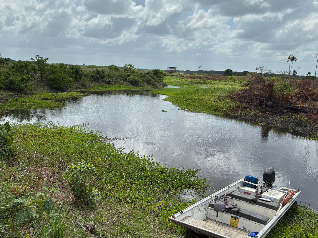 Blackwater Adventures-乔治城必去景点