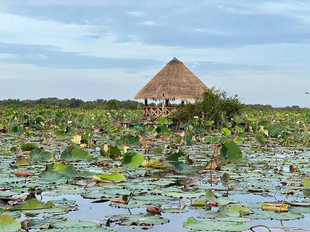 Lotus Farm Siem Reap-暹粒必去景点