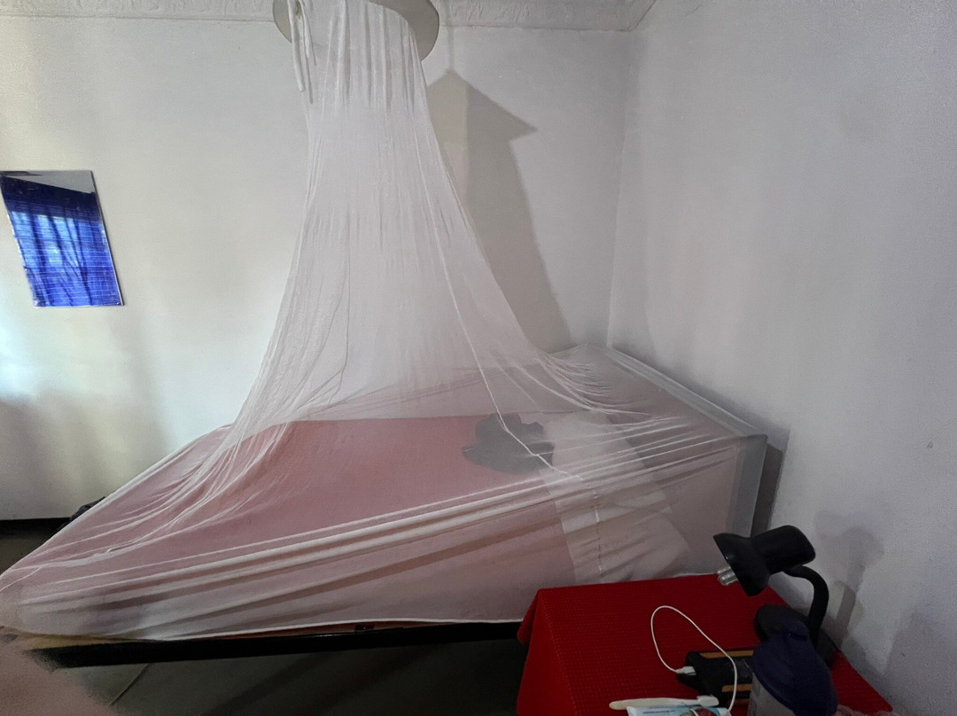 Meserani Snake Park-阿鲁沙必去景点