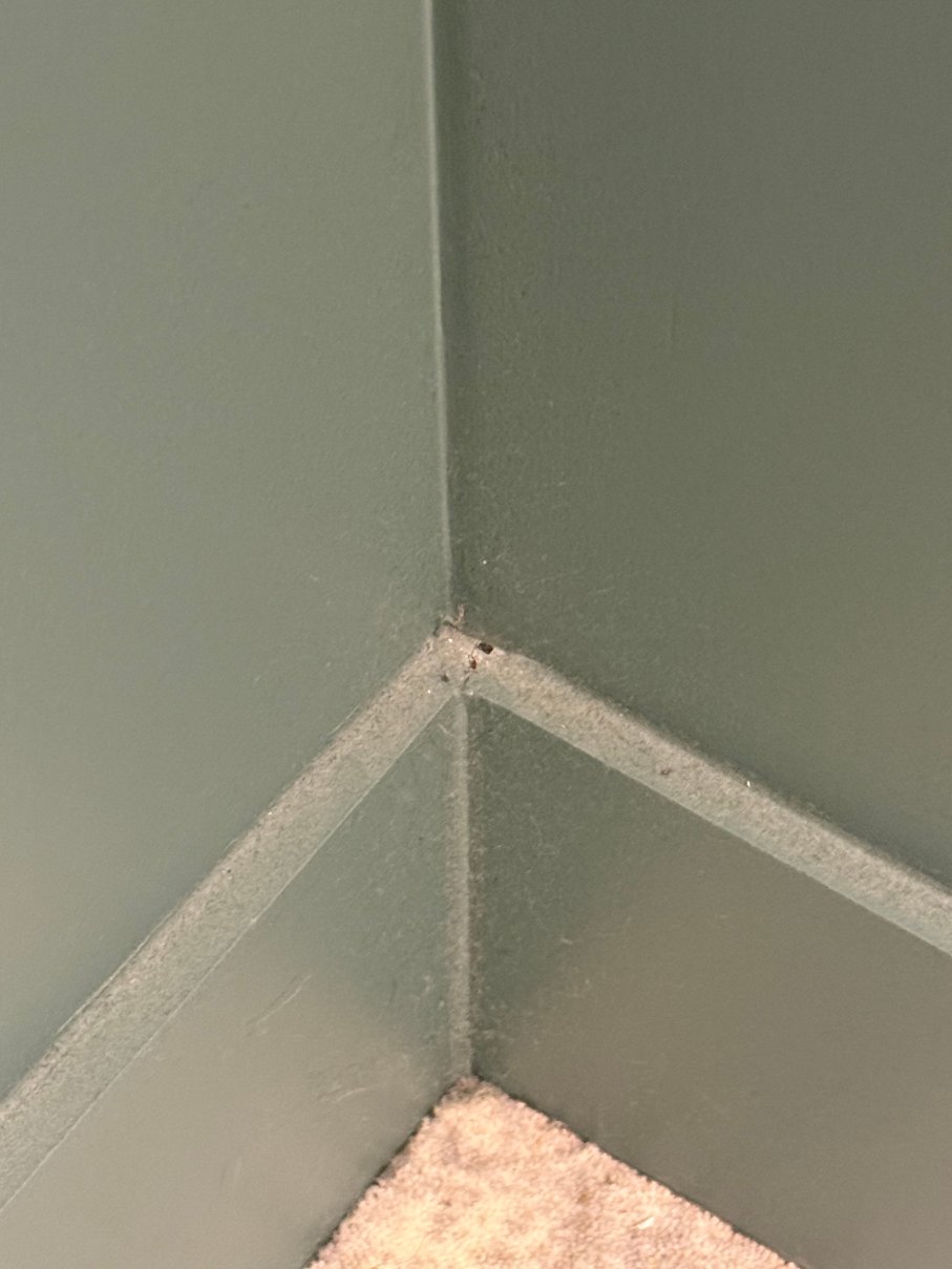 宜必思尚品勒图凯酒店-官方