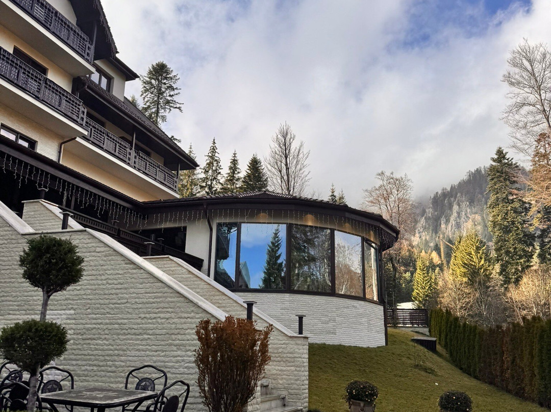 Hotel Foisorul cu Flori主图