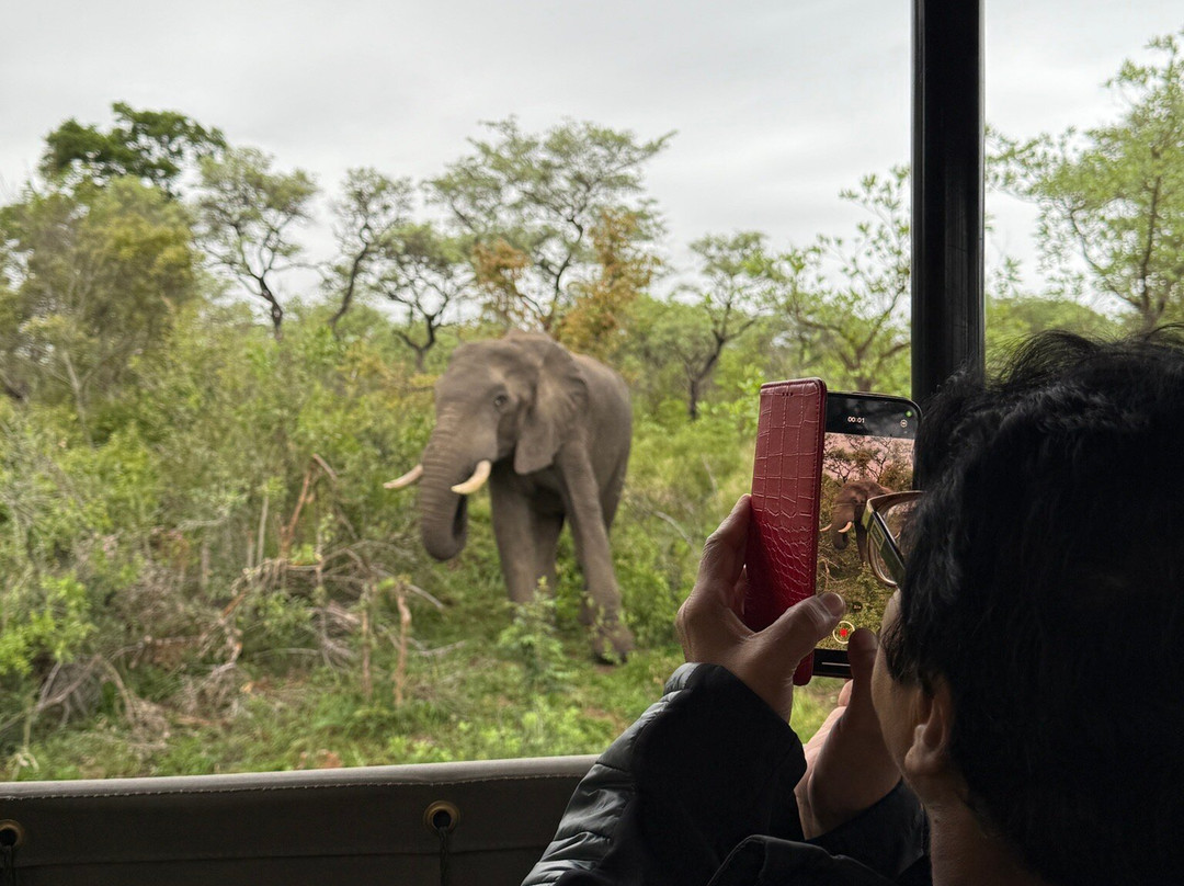 Wild Photo Africa Safaris-尼斯普鲁特必去景点
