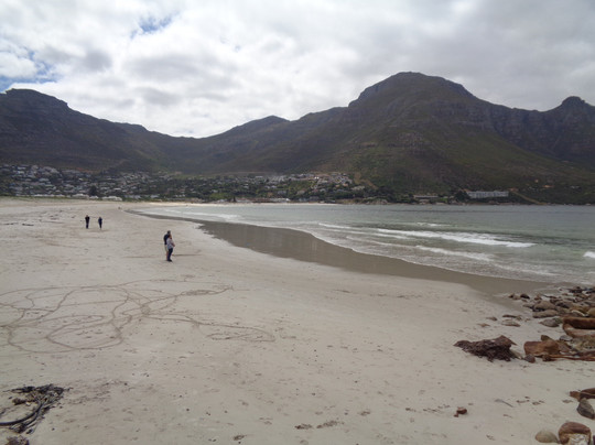 Hout Bay Beach-木湾必去景点