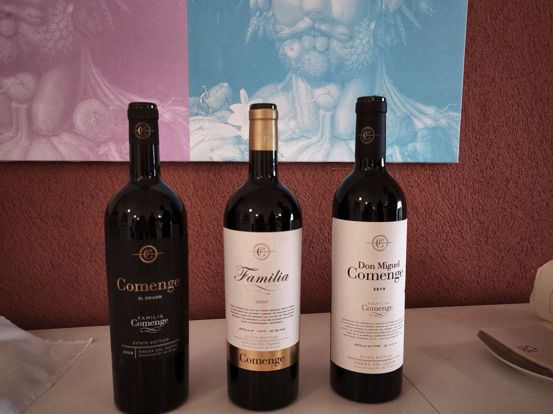Bodegas Comenge-Curiel de Duero必去景点