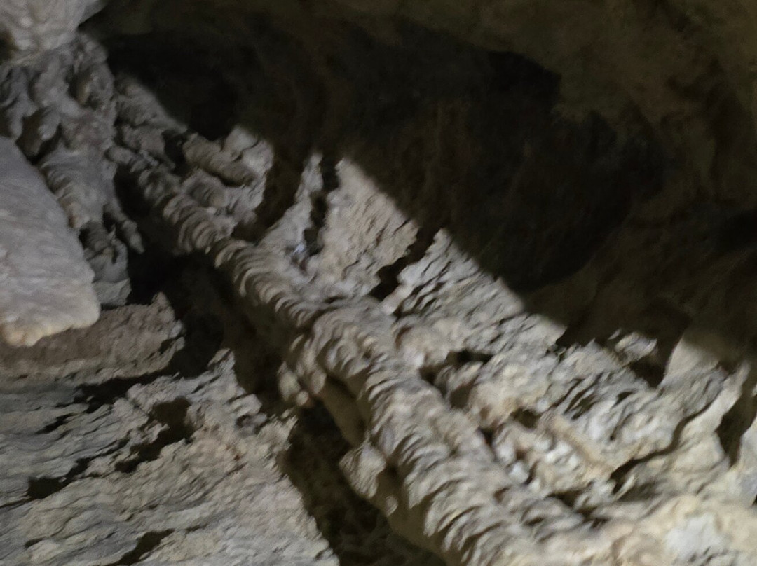 Footwhistle Glowworm Cave-怀托摩洞穴必去景点