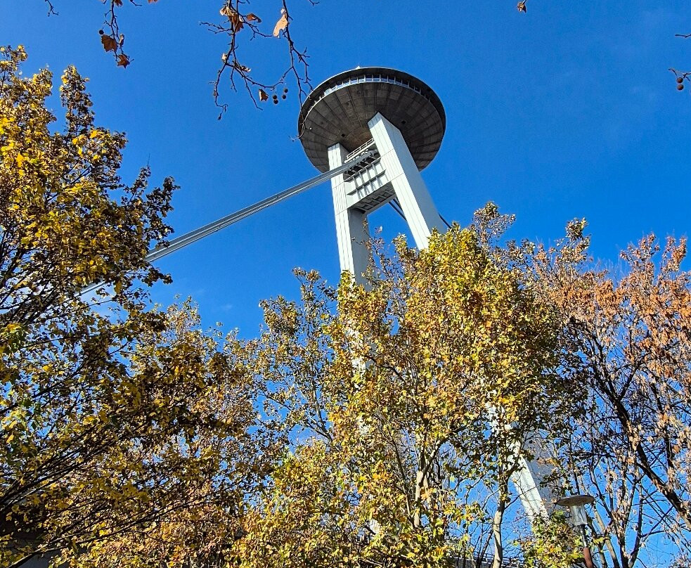 Sad Janka Kráľa-布拉迪斯拉发必去景点