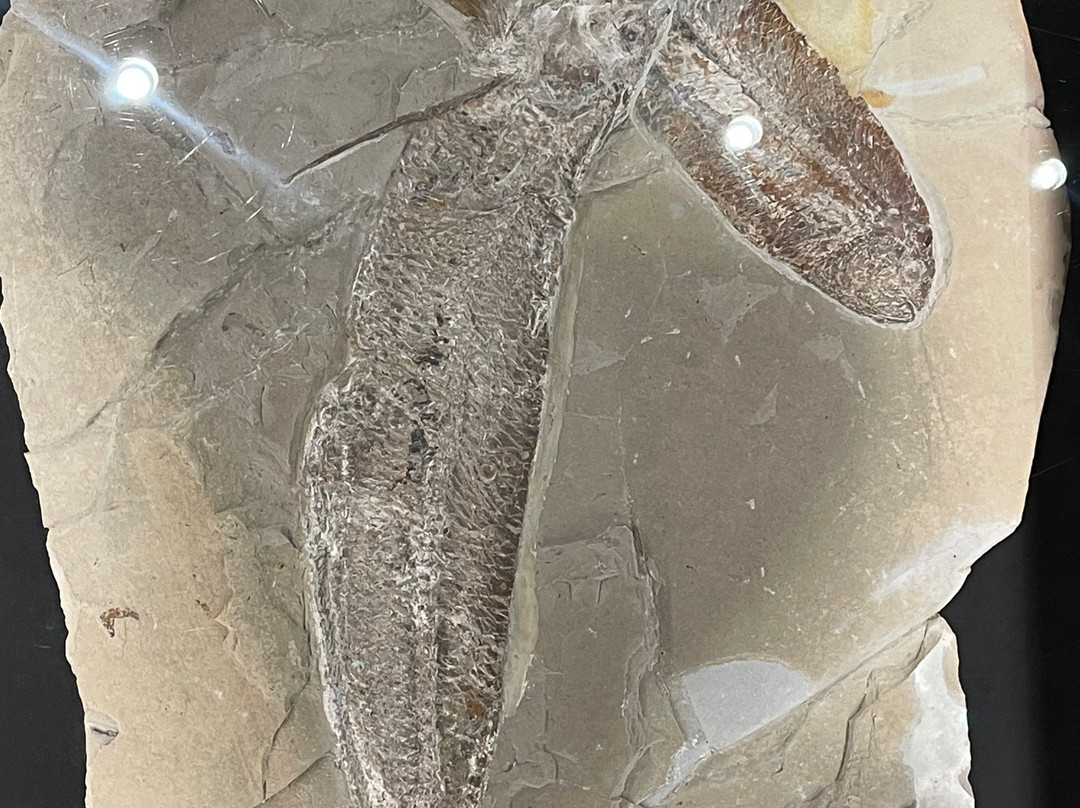 Memory of Time-朱拜勒必去景点