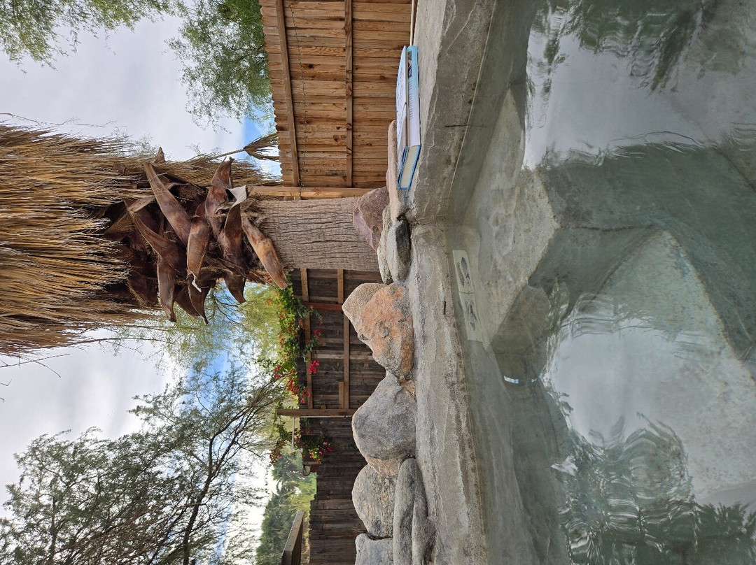 El Dorado Hot Springs-Tonopah必去景点