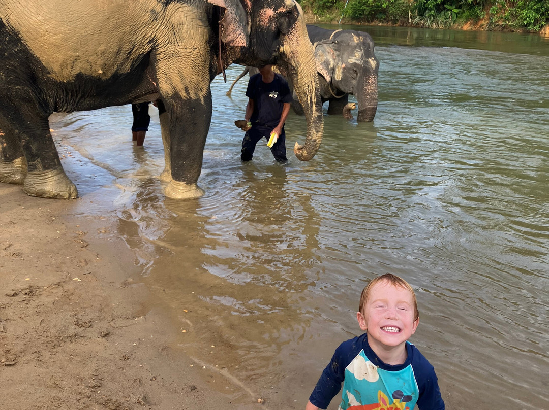 Khao Sok Elephant Sanctuary-拷索国家公园必去景点