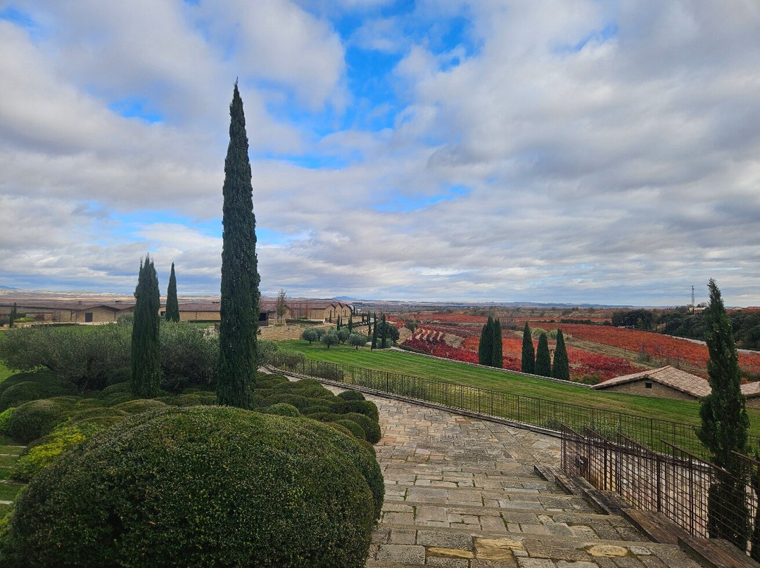 Marqués De Murrieta-洛格罗尼奥必去景点