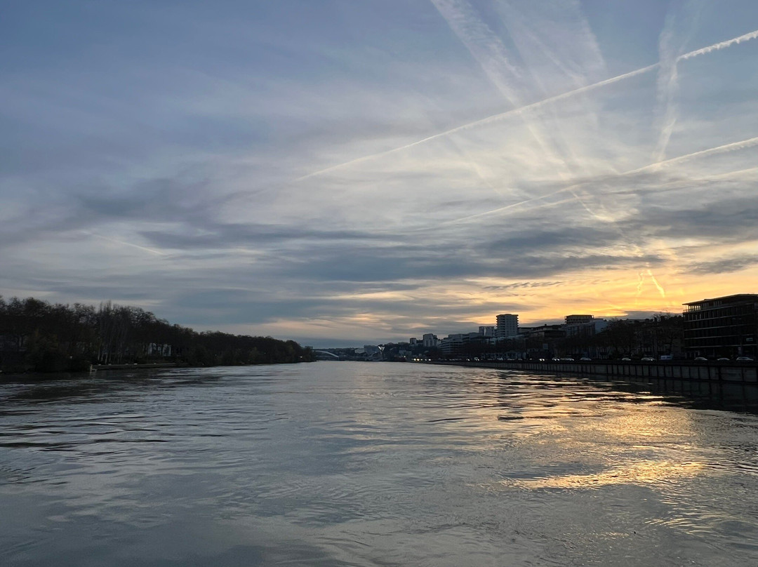 Les Bateaux Lyonnais-里昂必去景点
