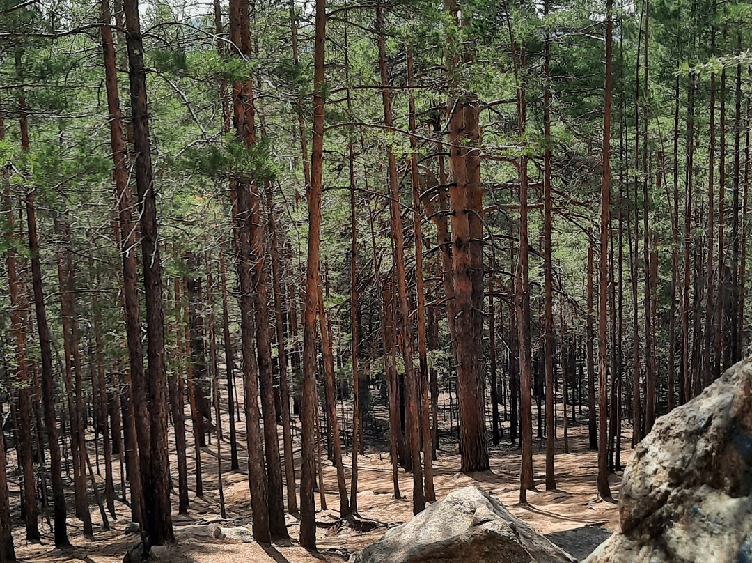 Victoria Cinema-摩德纳必去景点