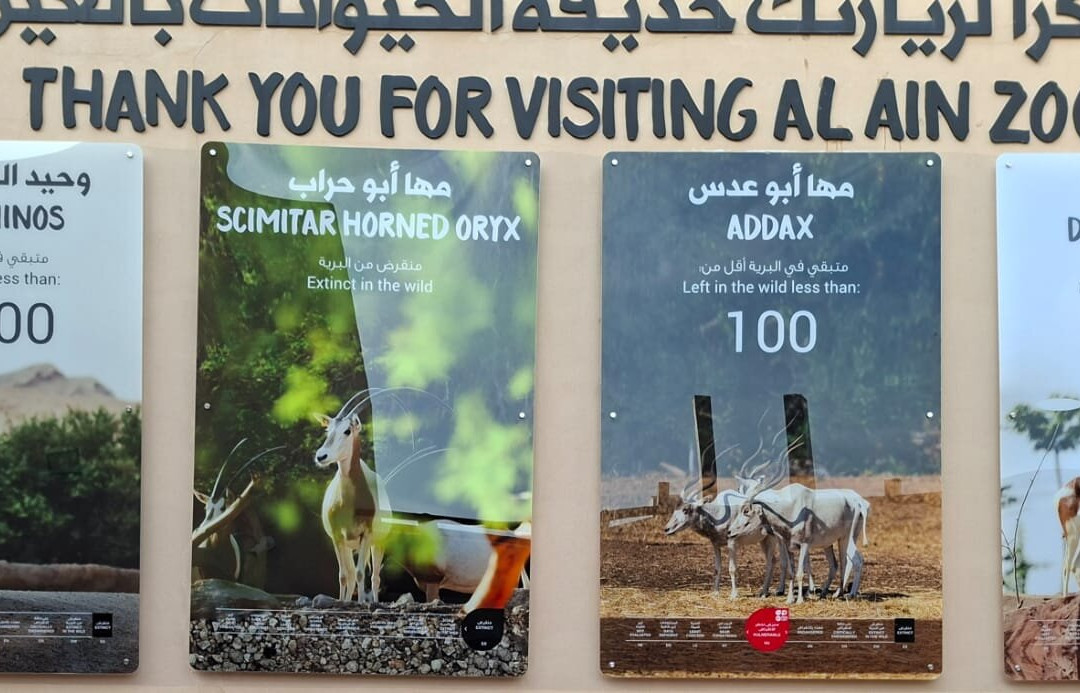 Al Ain Zoo 2017 2018 2019-艾因市必去景点