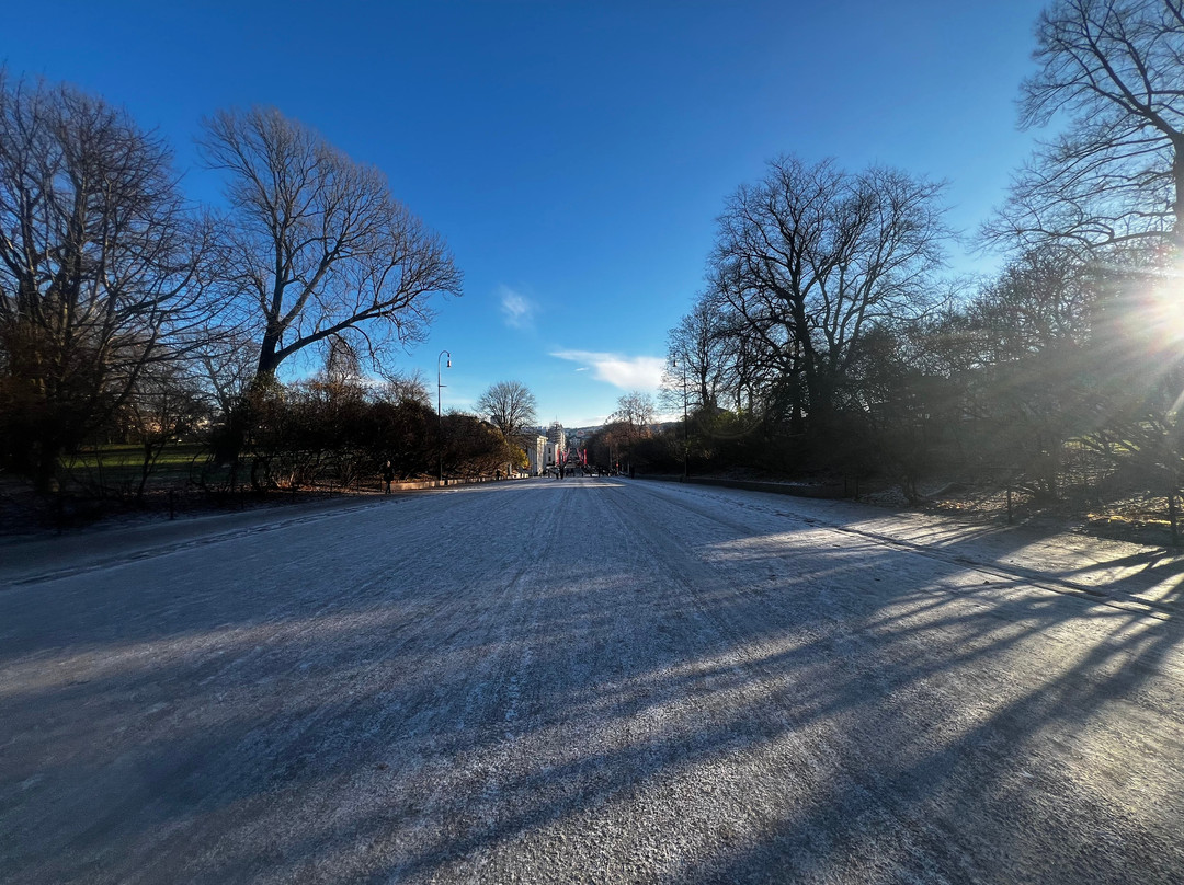 The Palace Park-奥斯陆必去景点