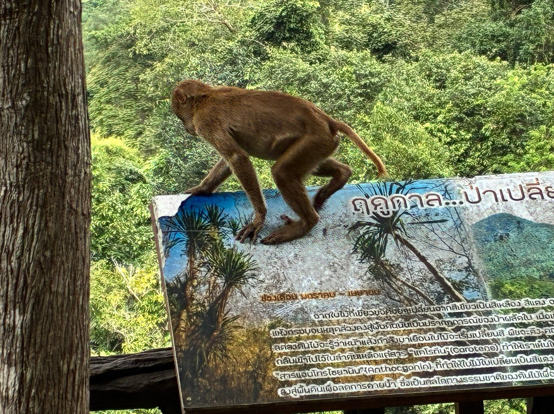 Erawan National Park-是沙越必去景点