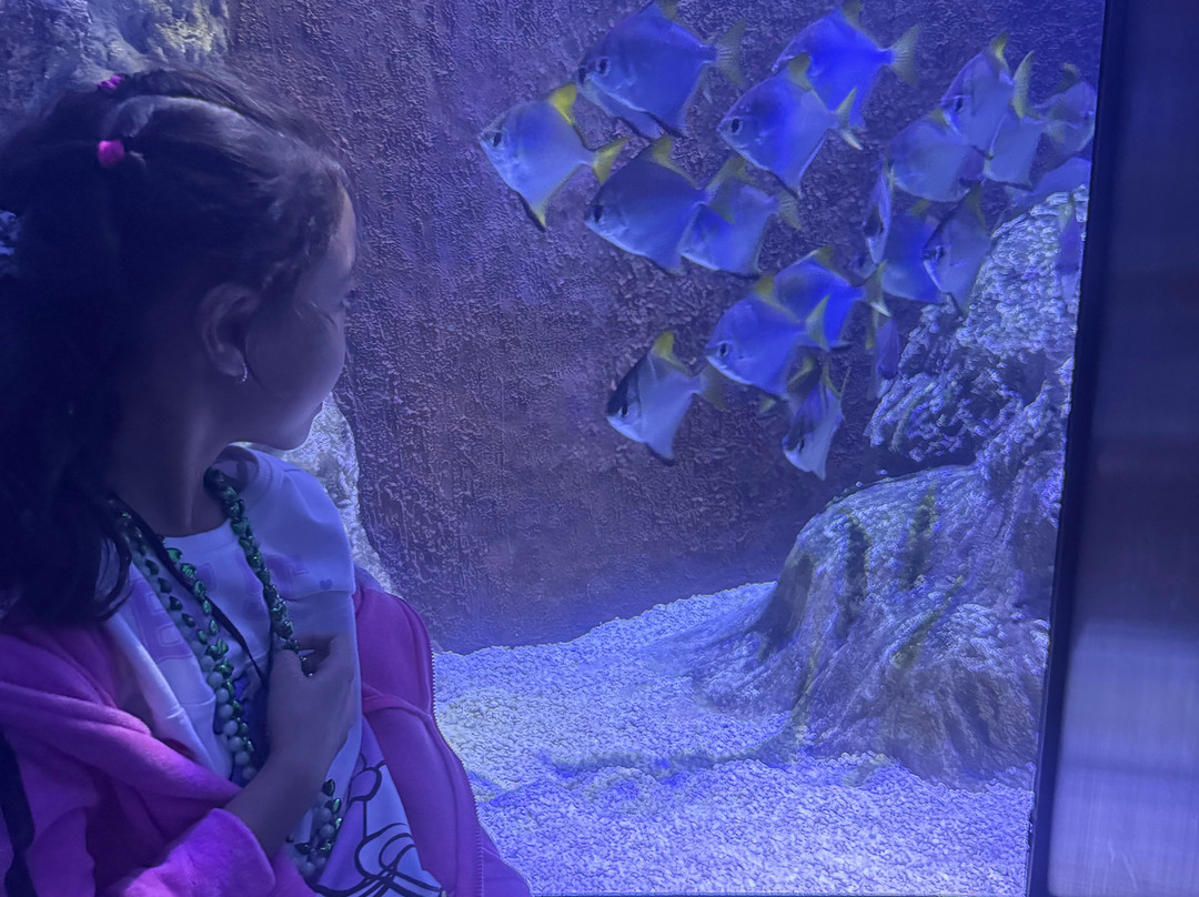 Marassi Aquarium & Underwater Zoo-Diyar Al Muharraq必去景点