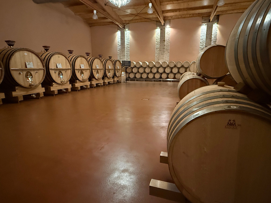 Bodegas Emilio Moro-Pesquera de Duero必去景点