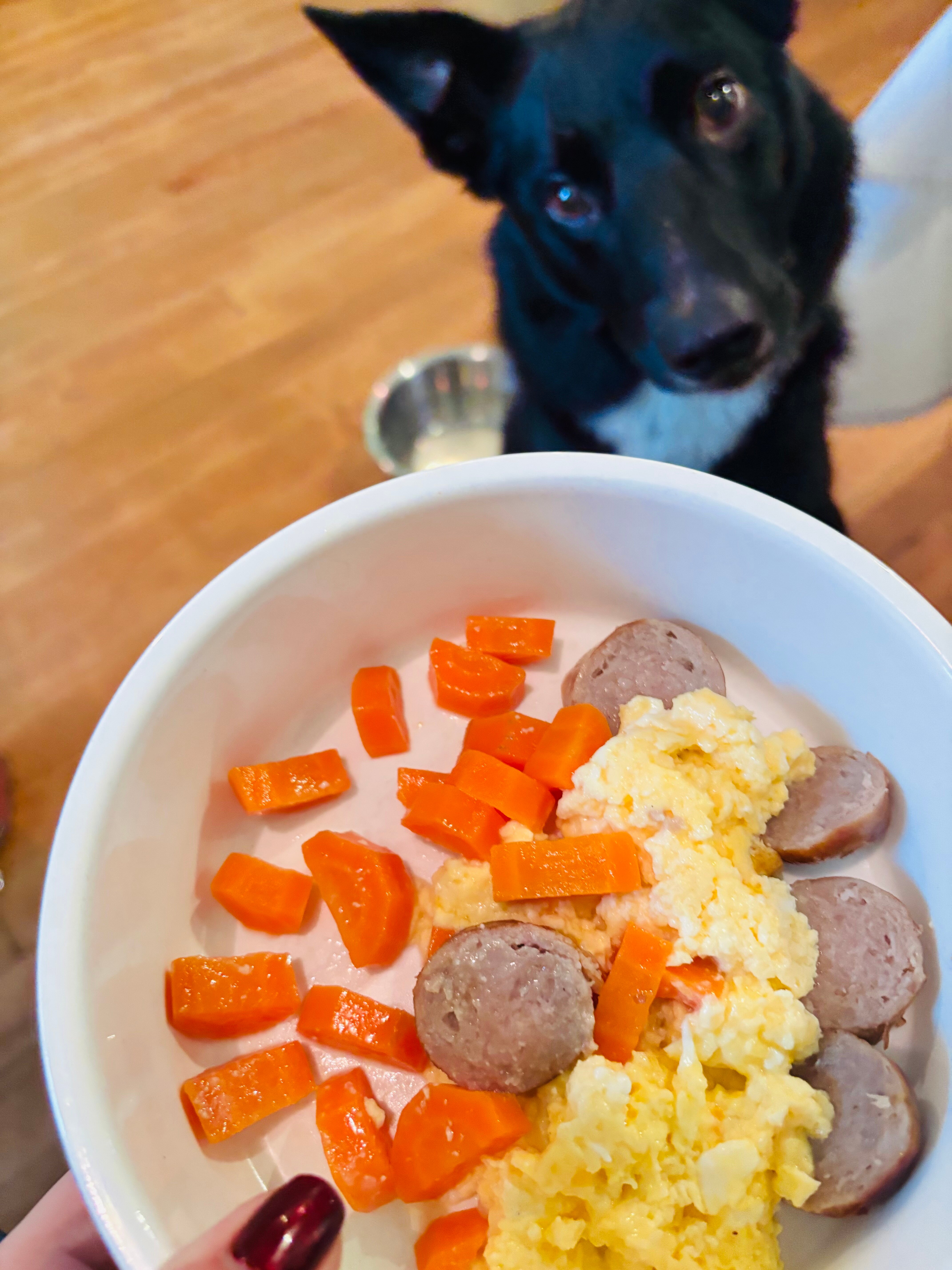 Trigony House Hotel and Garden Spa-官方