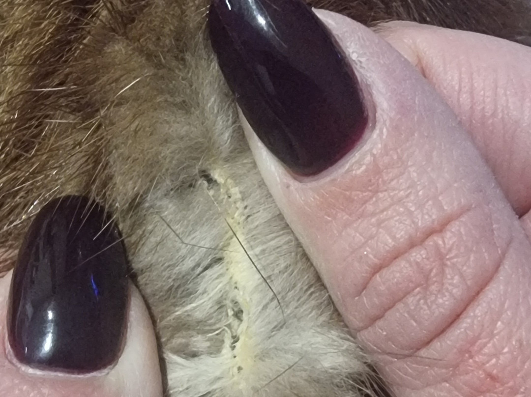 Vulcano Buono-诺拉必去景点