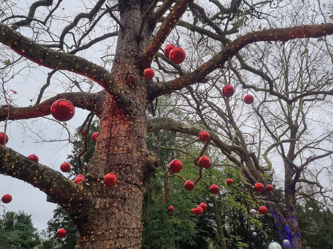 Audley End Miniature Railway-Saffron Walden必去景点