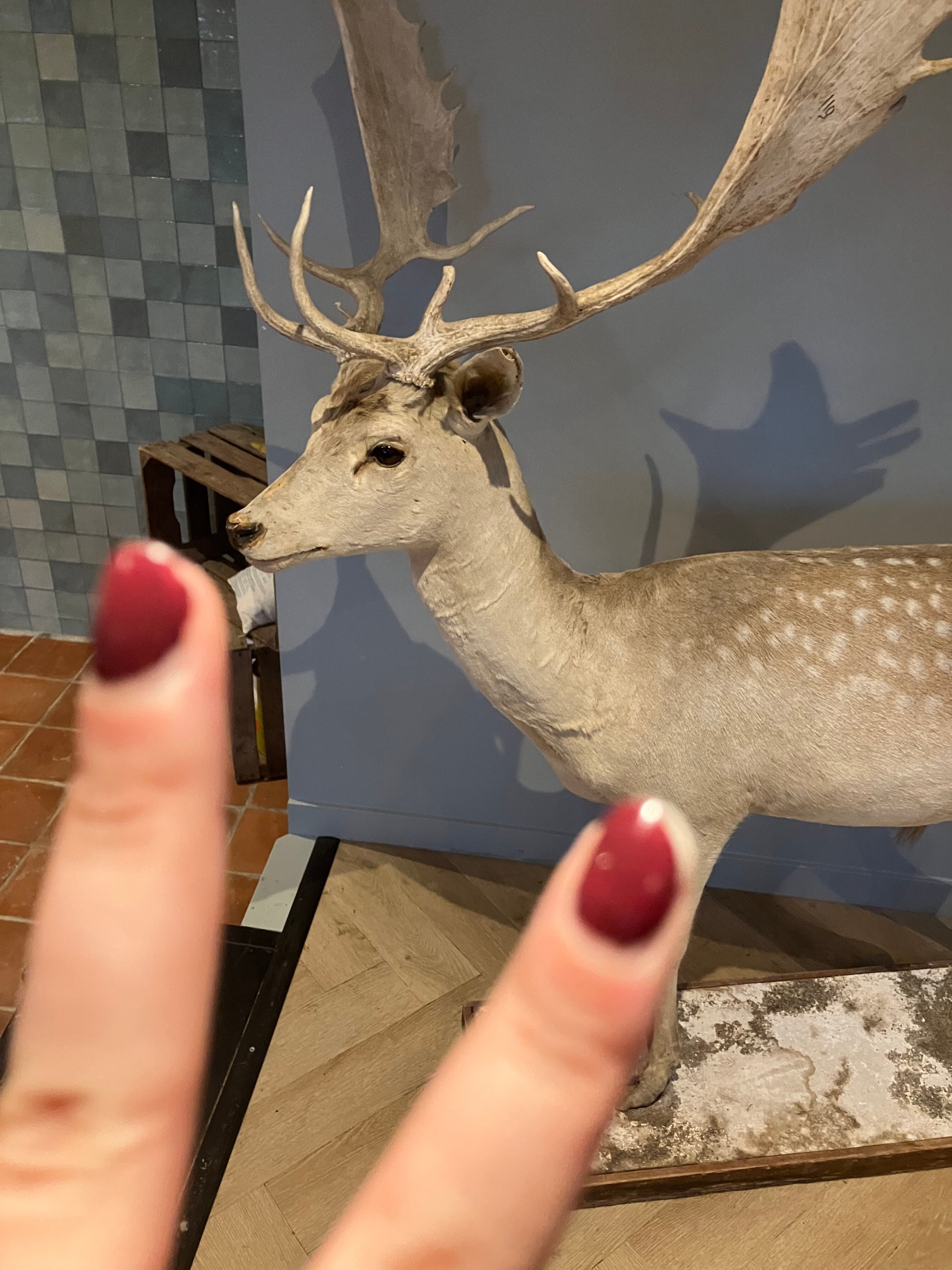 Veluwe Hotel de Beyaerd-官方