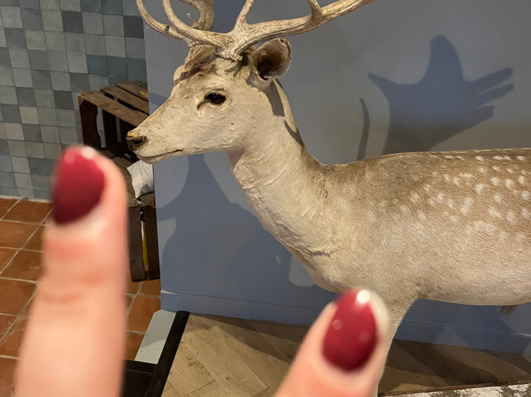 Veluwe Hotel de Beyaerd主图