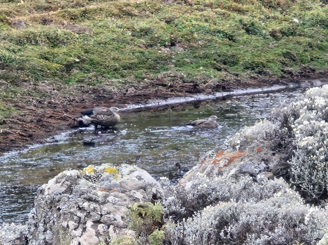 Addis Tour Guide-亚的斯亚贝巴必去景点