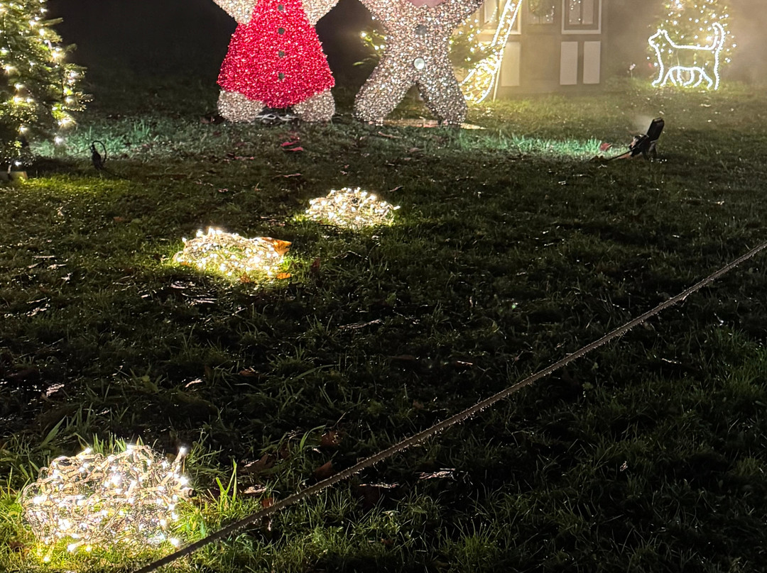 Christmas Garden Insel Mainau-康士坦茨必去景点