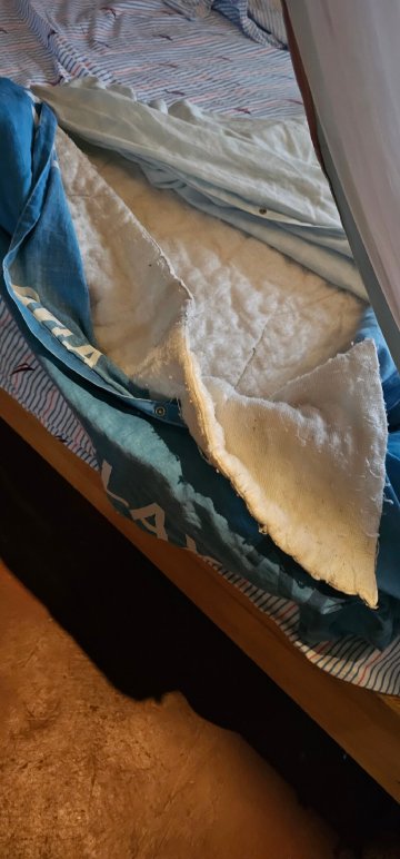 Banda Island Resort-官方