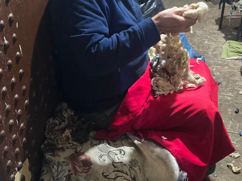 Saada Travel-伊拉悉迪亚必去景点