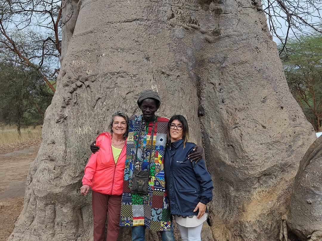 Senegal Voyage-Saly必去景点