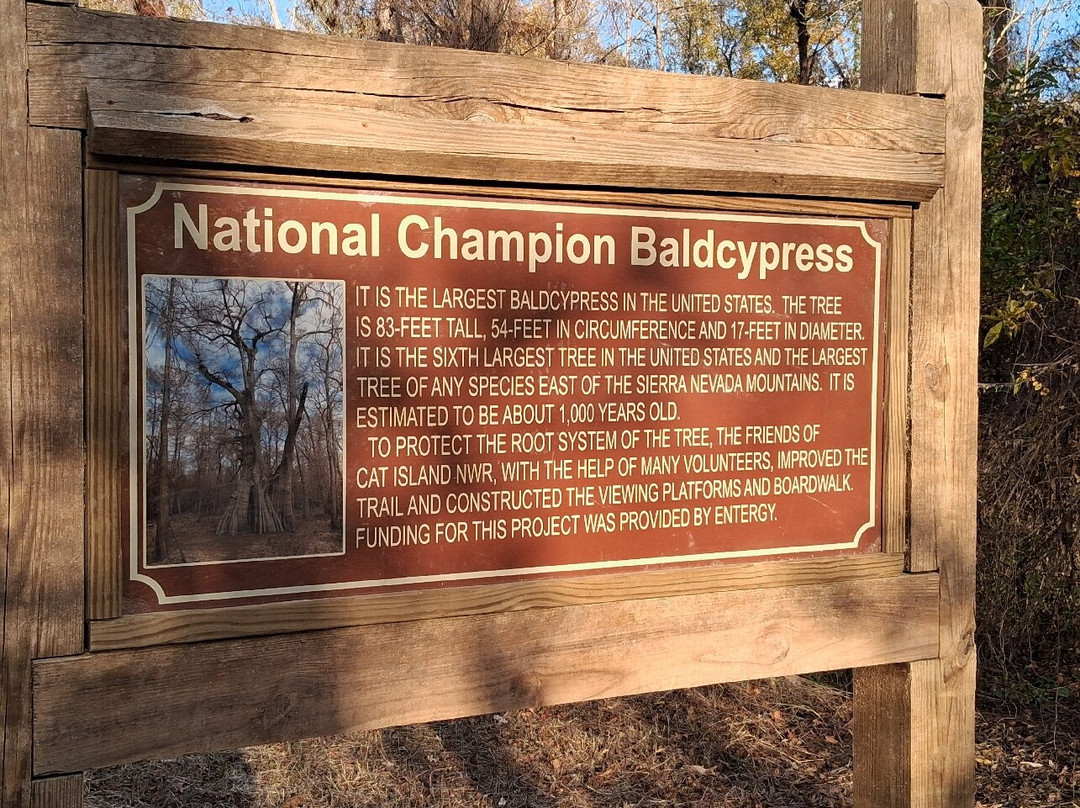 Cat Island National Wildlife Refuge