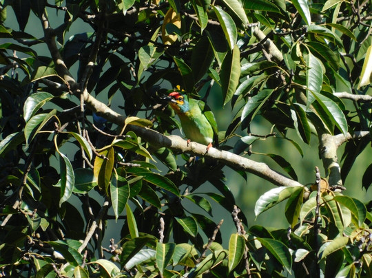 The Glenrock Wellness Nature Resort主图