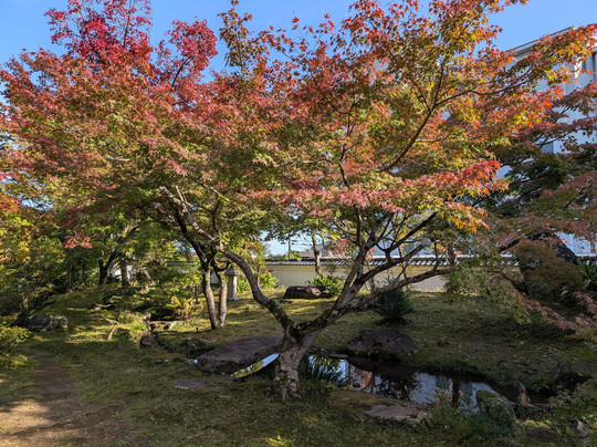 Gokuraku-ji Temple-南足柄市必去景点