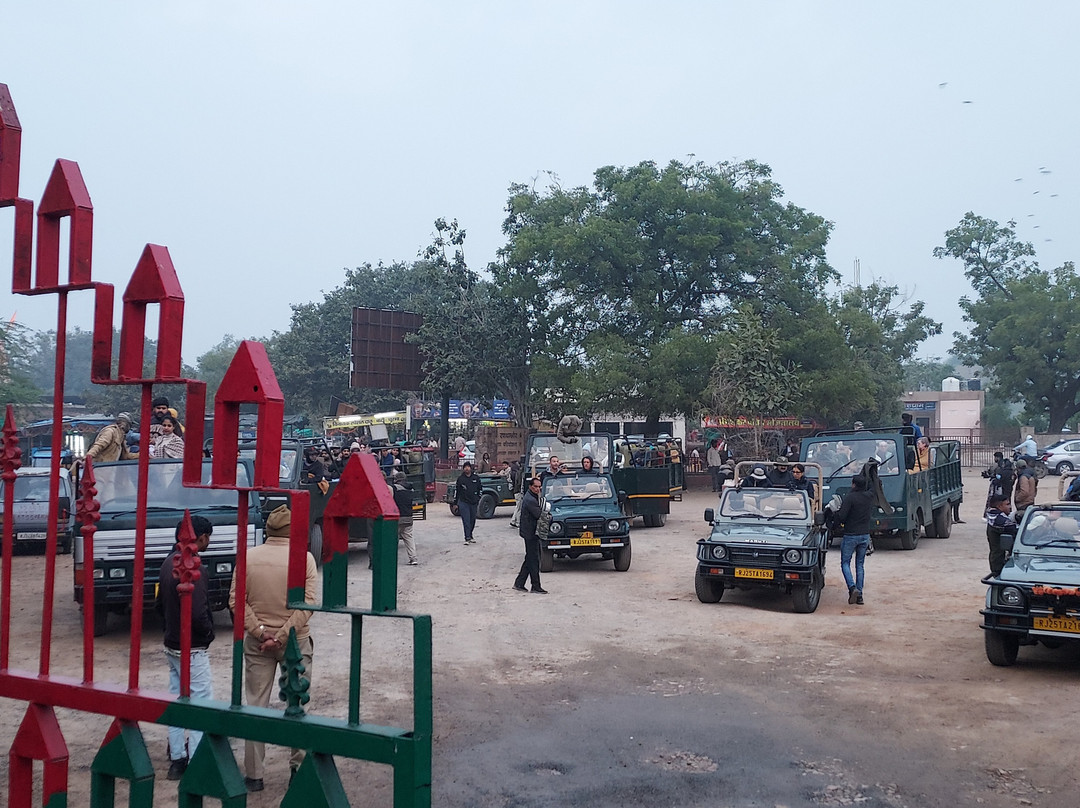 Ranthambore National Park-Ranthambore National Park必去景点