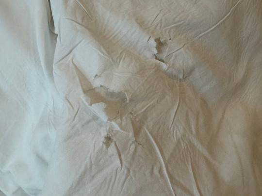 The Avenue Hotel主图