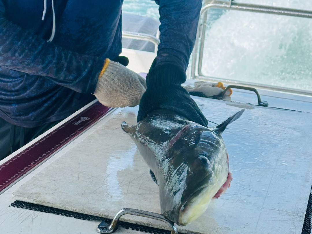 Reef Runner Charters-凯恩斯必去景点