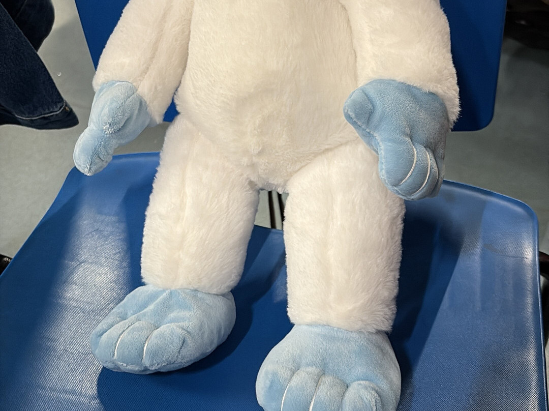 Big Sky-彼得伯勒必去景点