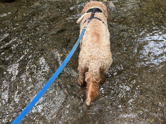 Quittie Creek Nature Park-Annville必去景点