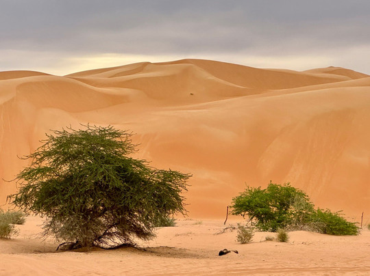 Atar Voyages-Atar必去景点