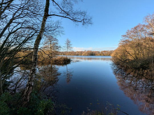 Mere Sands Wood Nature Reserve-Rufford必去景点