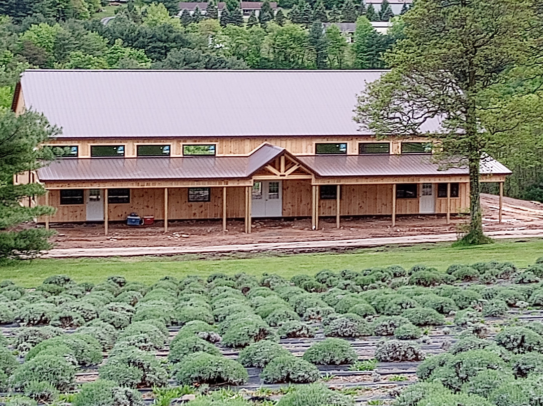 Quiet Hills Lavender Farm-Palmerton必去景点