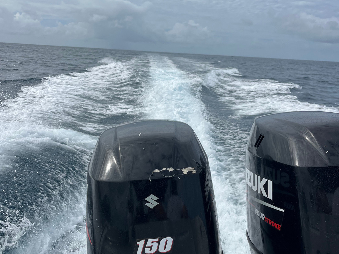 The Pearl Cruise-贝尔欧布莱必去景点