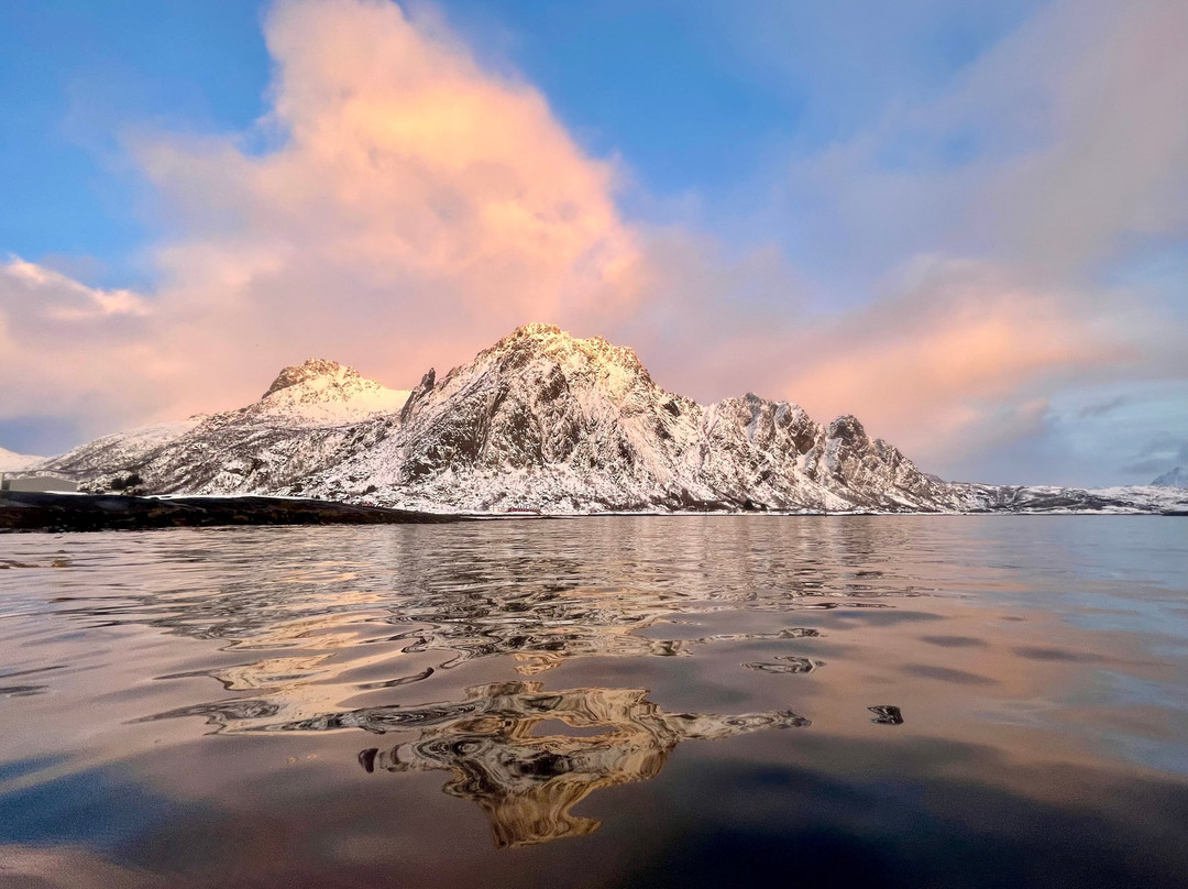 XXLofoten-斯沃尔韦尔必去景点