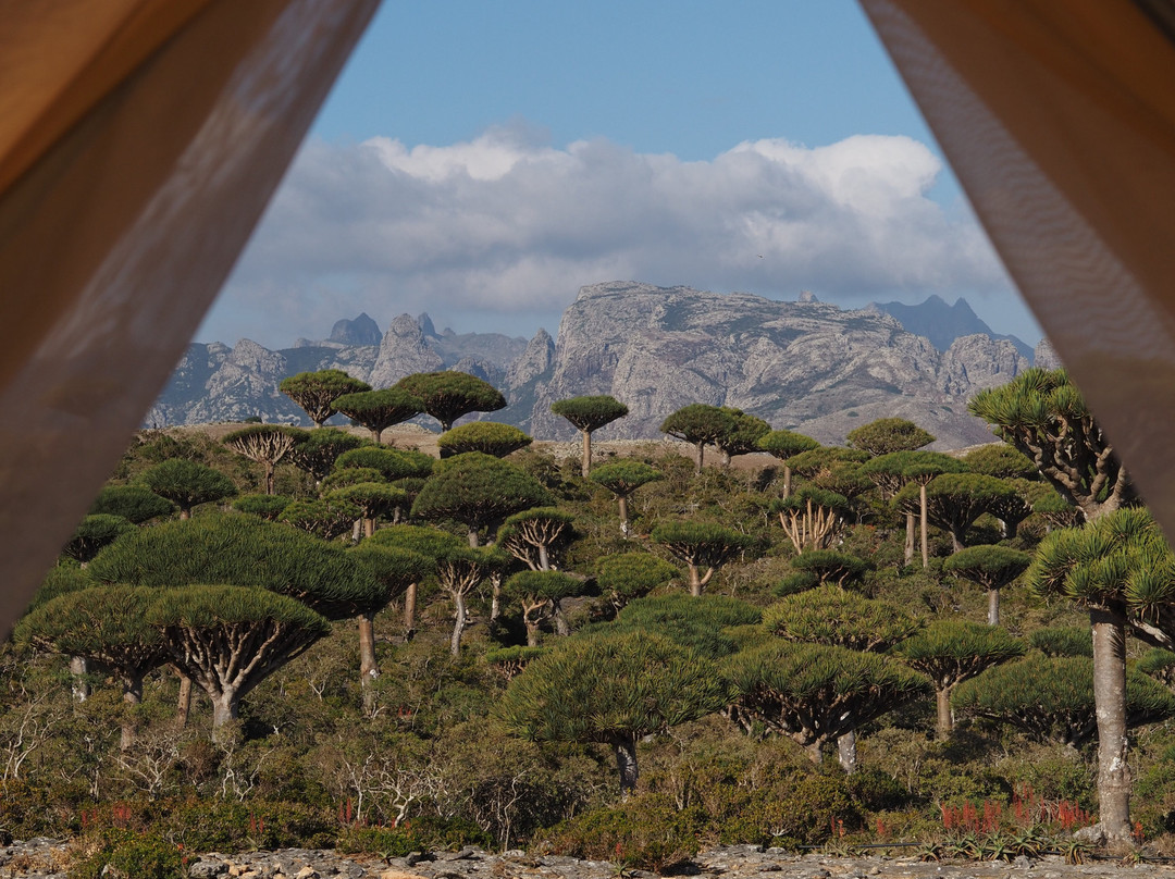 Socotra Nights-Hadiboh必去景点